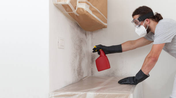 Professional Crawl Space Mold Remediation technician working in Glencoe, IL